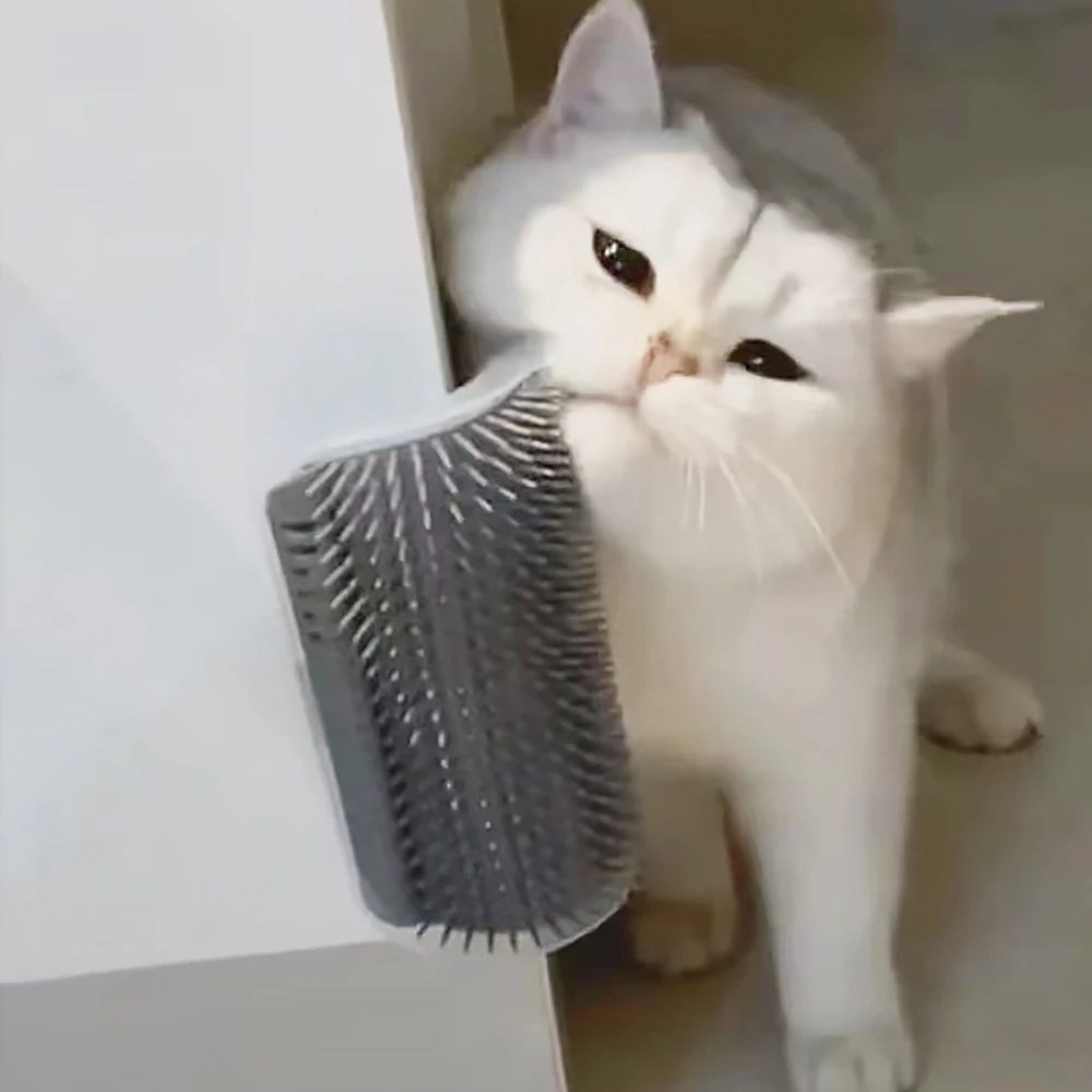 Alat Pijat Kucing Terlaris Bah - Hair Care Good Hair ulasan dan harga